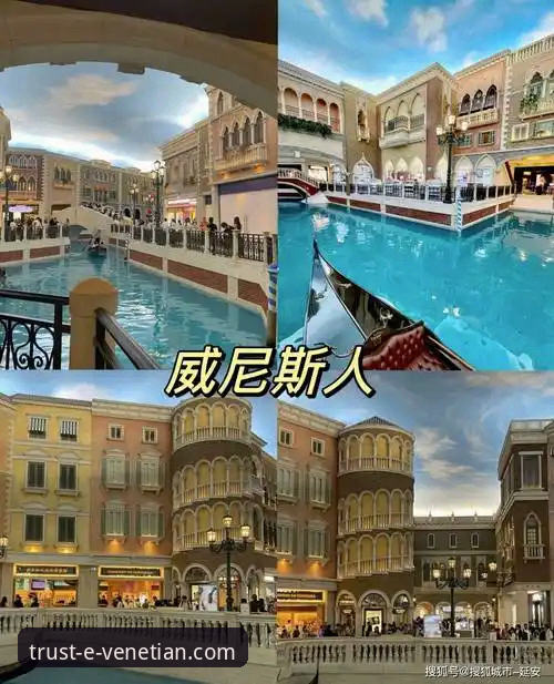 威尼斯人官网登录使用技巧全面解析：从新手入门到畅享娱乐